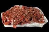 Natural, Red Quartz Crystal Cluster - Morocco #158536-2